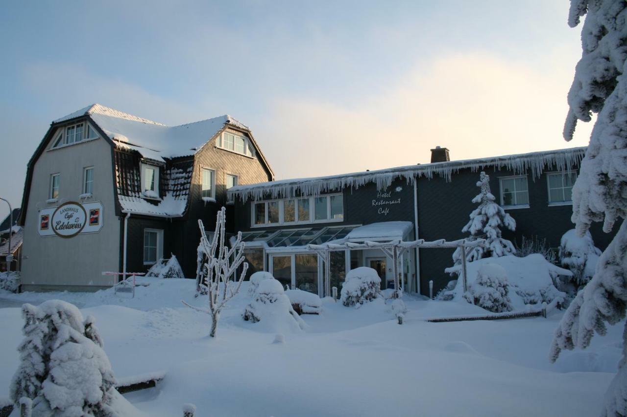 Landhaus Edelweiss Bed&Breakfast - Adults Only 伦斯泰希地区诺伊斯塔特 外观 照片